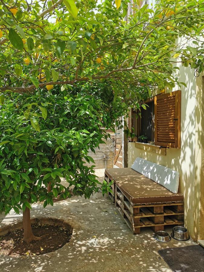Villa Sofia Anavyssos Ngoại thất bức ảnh